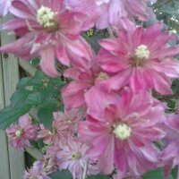 Lady Jane (@jane123towers) 's Twitter Profile Photo Lady Jane (@jane123towers) 's Twitter Profile Photo