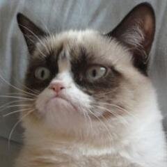 angrymannnnn's profile picture. Je n'ai jamais souri de ma vie. #FollowBack