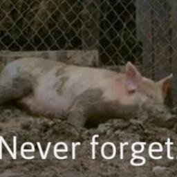 I'm the pig Rick Killed. He made the wrong decision