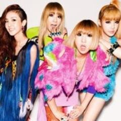 2NE1 is a South Korean girl group formed by YG Entertainment in 2009. The members are CL, Minzy, Dara and Good The group's name stands for New Evolution of the