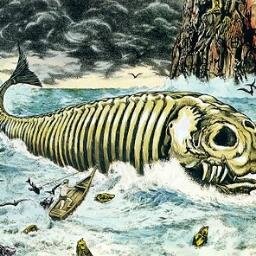 DojucaJuan's profile picture. 