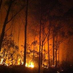 NSW RFS Volunteer with Northern Beaches Headquarters Brigade