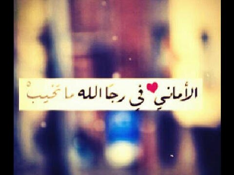 ﺂللھٓم صل على محمد ♥