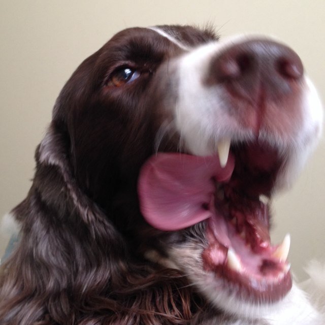 stweetmcmanus68's profile picture. 