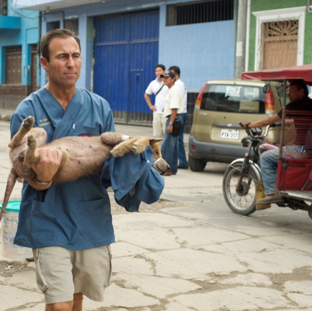 Fixing Fido -- Time for man to be dogs best friend.  Follow us for a global look inside the feature-length documentary, coming soon...