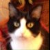 Jean ⚕️ (@jean_pins) Twitter profile photo Jean ⚕️ (@jean_pins) Twitter profile photo