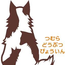 つむら動物病院 庄原市 Tsumurah Twitter