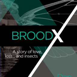 I'm a journalist and writer who is fascinated by wine, great stories and big creepy bugs. My first novel is a story of love, loss ...and cicadas.