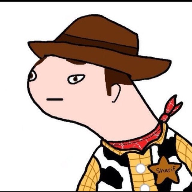 Howdie pertner. ||nothing to do with disney or toy story|| but i hav sweg.