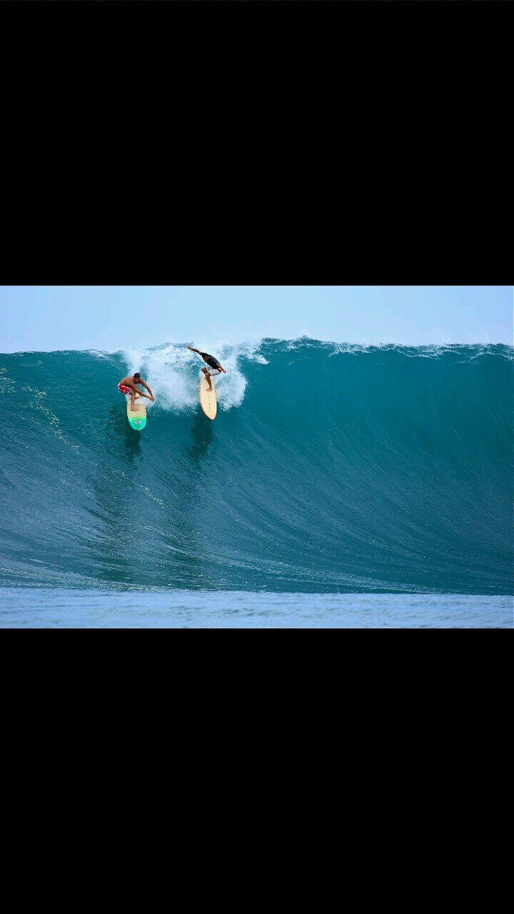 sideout0's profile picture. NISHINA/KIYOSHO/SSU,FUJIEDA