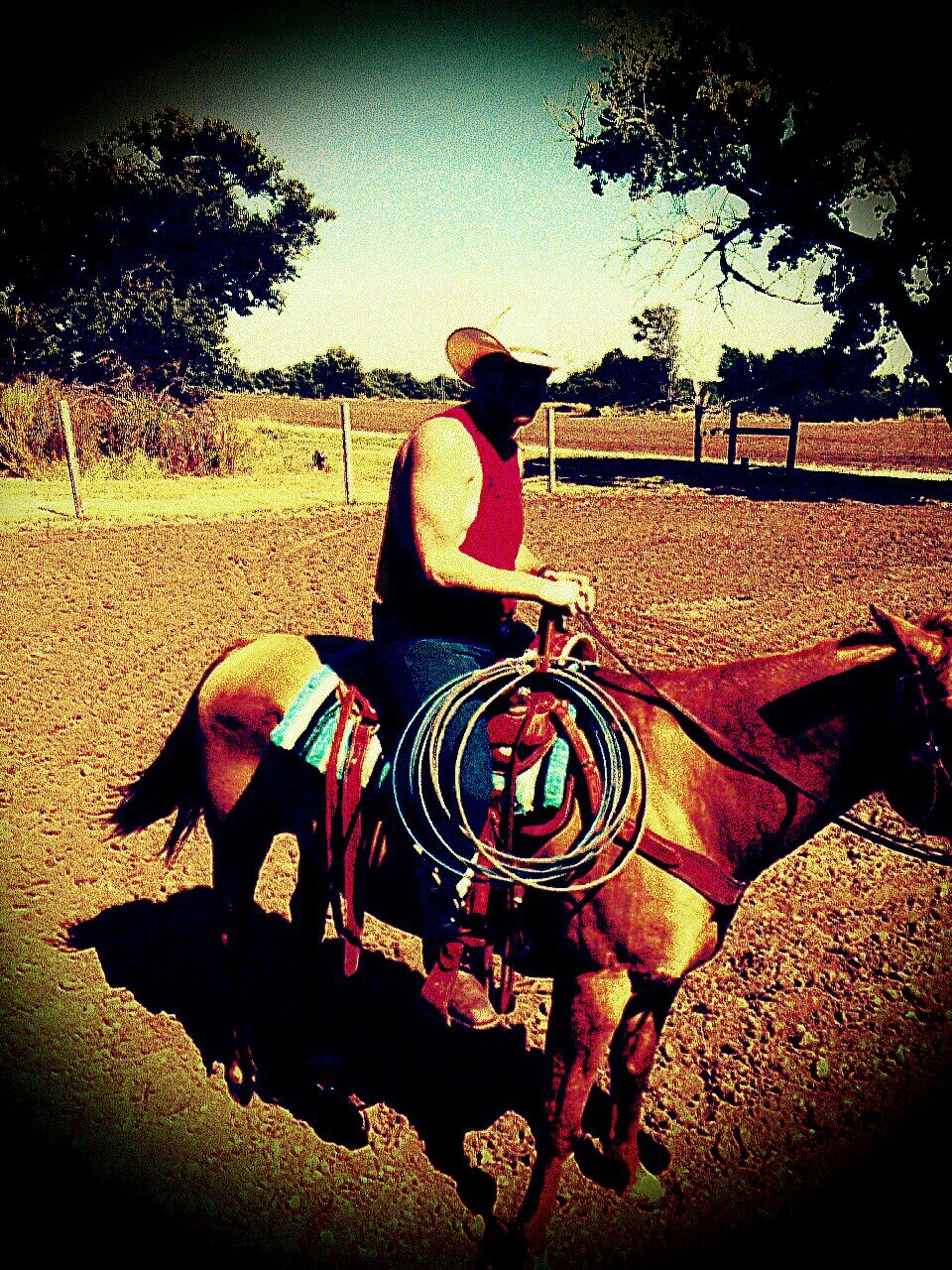 Born and raised country proud. My hats better left alone. #Ford #EMAW