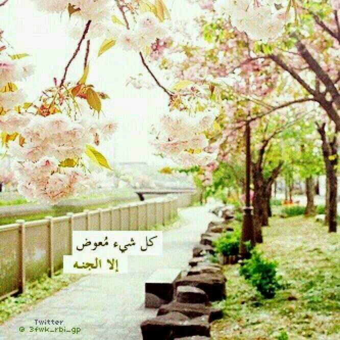 ‏‏‏   الحساب ملغـــــي