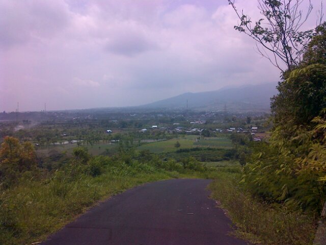 capngtolu's profile picture. 