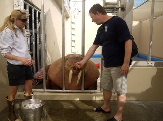 BruceCottrill's profile picture. 