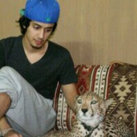 رومانس ابها (@gucc1__) 's Twitter Profile