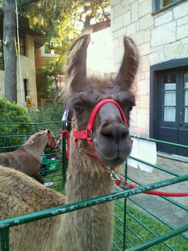 Larkin10675078's profile picture. A fart in the hand is worth three in the bush