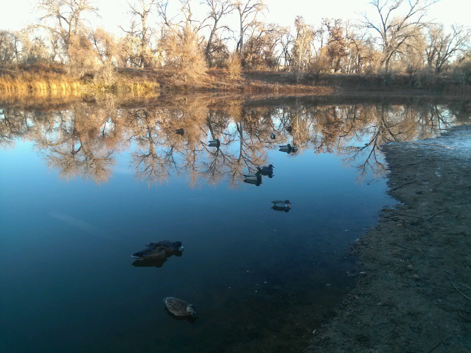 Tweet your waterfowl hunting pics, vids, and stories at us!