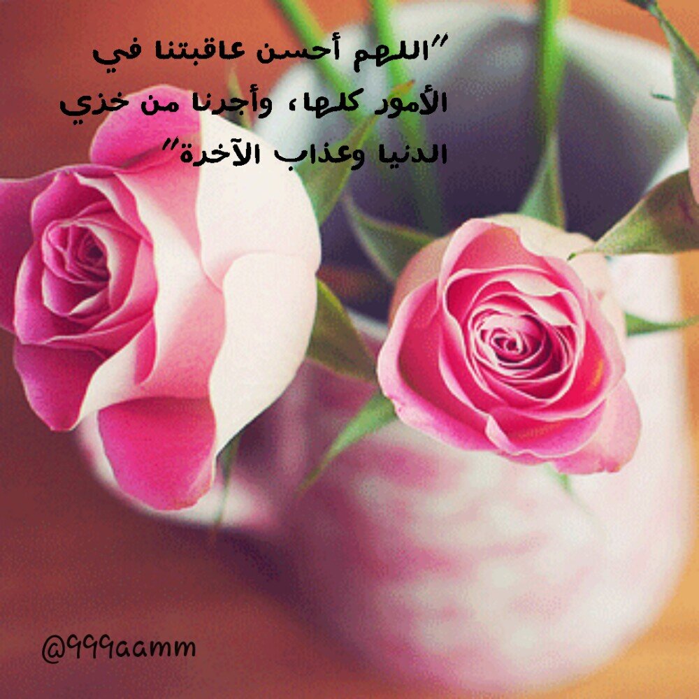 *لآيِـغـٌــِرﮚِ [ هَدِوؤئـےّ ] ترىِِـىِـآ گَـليـّےّ  شِشـطـآإنـہ « « ツ *|| فيًنُےً هدّوْء آلڪَوכּ وفيًنُے جنُونُـِہَ (اللي بيسوي أنفولو لايسوي فولو من الاساس)