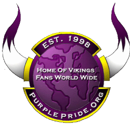 Vikings Realist and Fan