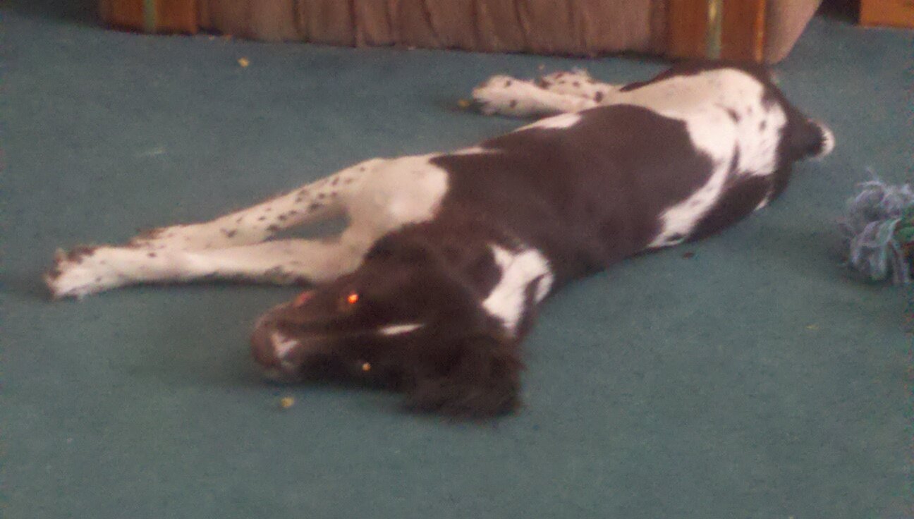 jjrll37's profile picture. 