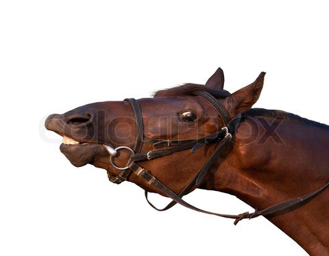 Followbaklyf's profile picture. 