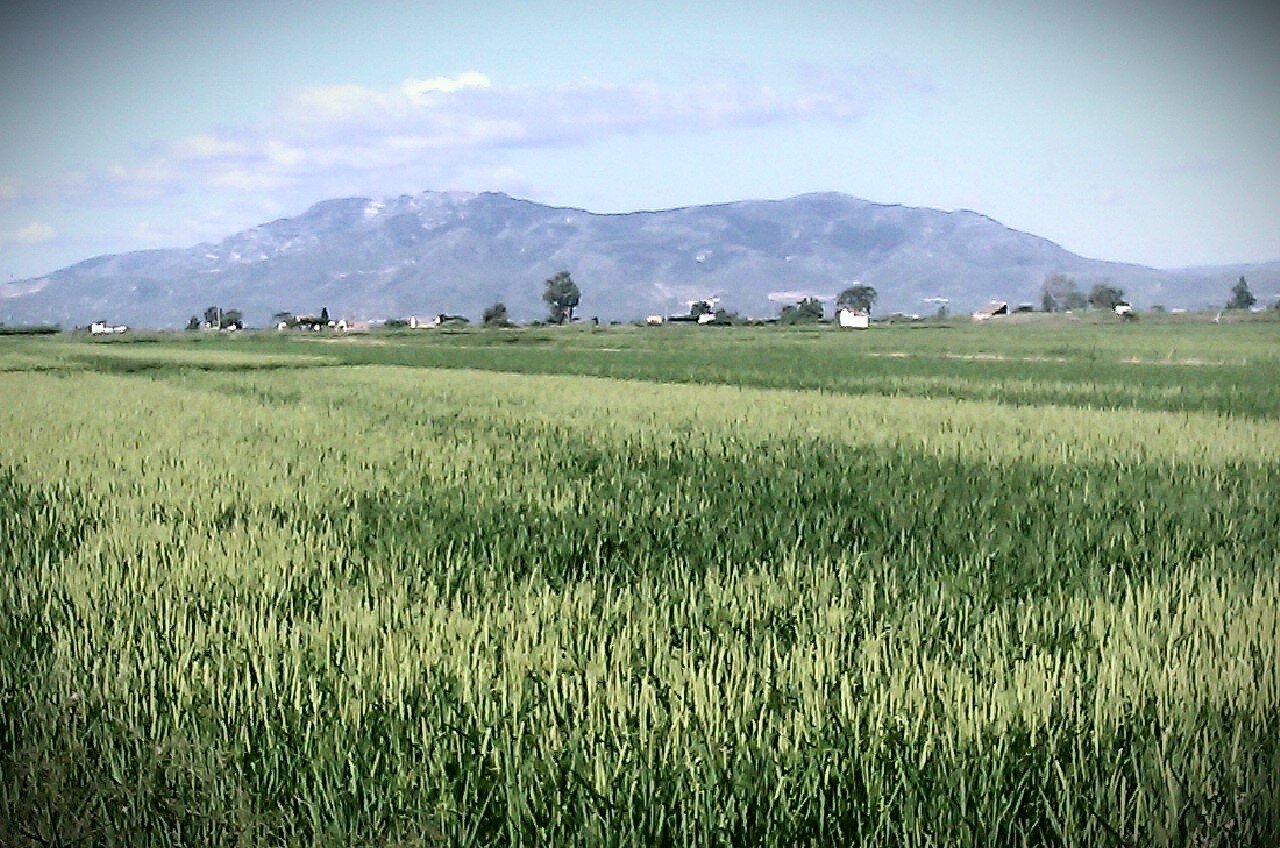 Lo riu és vida. El Delta de l'Ebre està en perill i cal presservar-lo costi el que costi.
Per una Catalunya Lliure i Independent.