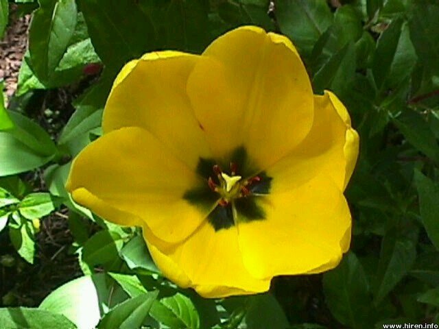 Ana200506's profile picture. A&N💙💛
B&D🦁🍊
R💙👗