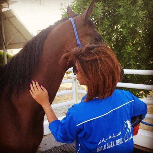 cho0oco0o's profile picture. 