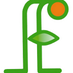 Frusangar (@frusangar) Twitter profile photo Frusangar (@frusangar) Twitter profile photo