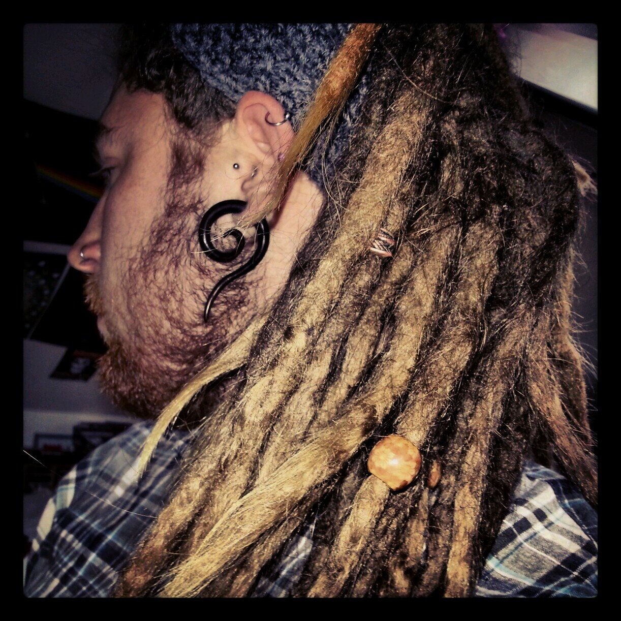 taskov89's profile picture. She lifted up her wings...I guess that this must be the place.