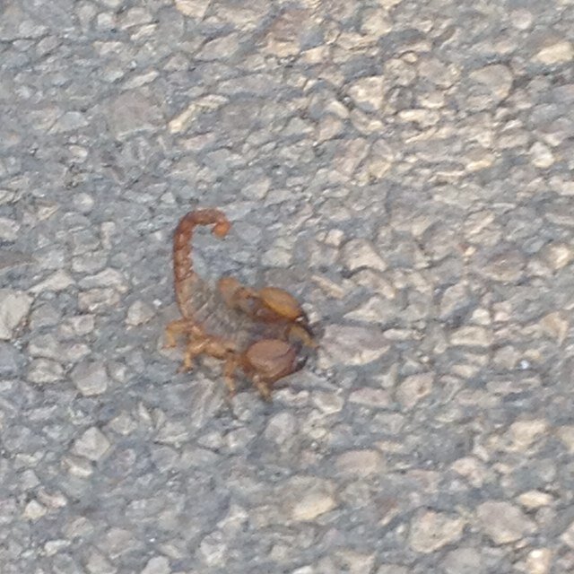 samad1986's profile picture. 