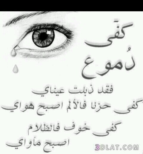 عبدالله الالمعي