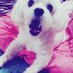 suk필. kim (@313126a) Twitter profile photo suk필. kim (@313126a) Twitter profile photo