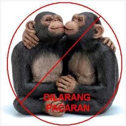 PacaranUseless's profile picture. #TanpaJil  #Islam100% #AllahIsMyLove #PacaranGakGuna