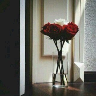 ♥'