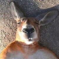 Cooper Tor (@coopertor) 's Twitter Profile