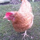 Katherine Sharp - @Hoogleberry - Twitter