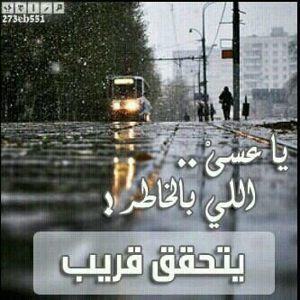 شعر بدوي تويتر ذوق كونتنت