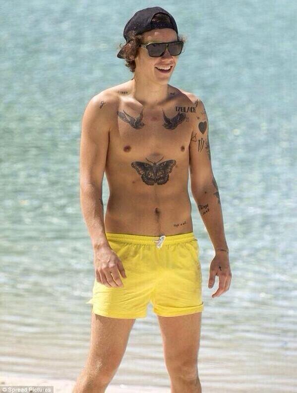 WE GAVE U A FREE FOLLOW SO GO AND FOLLOW @narrytwurking_ AND @Oh_Its_Larry THANK YOU BABE X