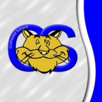 Cotswold School (@cotswoldschool) 's Twitter Profile