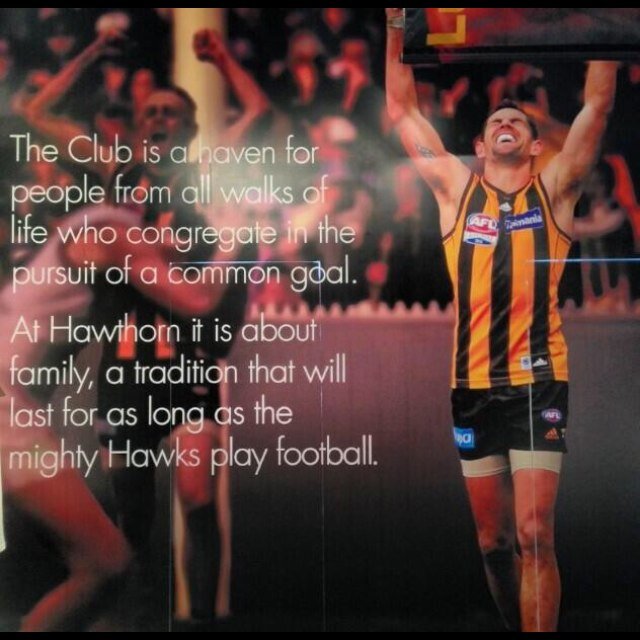 always hawthorn
