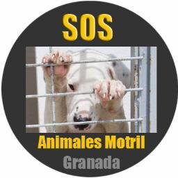 sosperrosmotril Profile Picture
