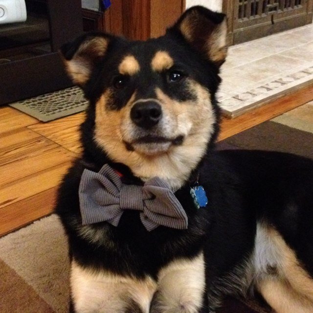 ADMueller's profile picture. 