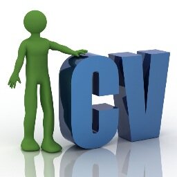 We write CVs for people who work in IT and we've been doing it successfully for some time now. Email enquiry@itpeople-cv.co.uk