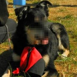 Shy goth. SolFed member. Anarchist, communist and cake-baker. May post pictures of cakes. #cakebloc