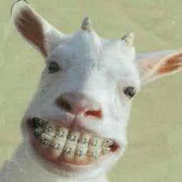 RaduTalent's profile picture. От повышения градуса даже углы тупеют... #взаимныйфолловинг  #TeamAutoFolow #ru_ff #ff_ru #sledui