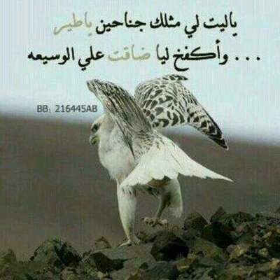 دكتور تنشا 4masrid تويتر