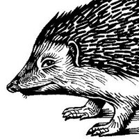 The Hedgehog Review (@hedgehogreview) 's Twitter Profile