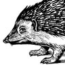 hedgehogreview's profile picture. Making sense of cultural change in the modern world 
from UVA’s Institute for Advanced Studies in Culture.