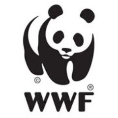 WWFdk Profile Picture